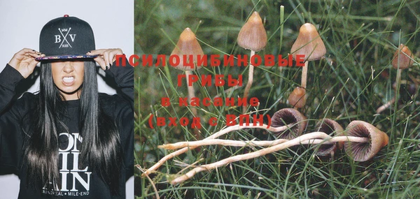 гидра Вяземский
