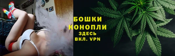сатива Горнозаводск