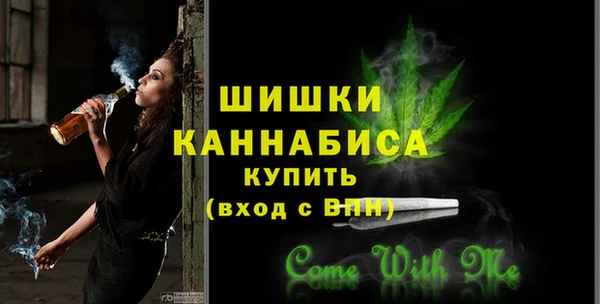 гидра Вяземский