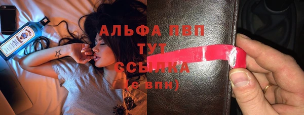 сатива Горнозаводск