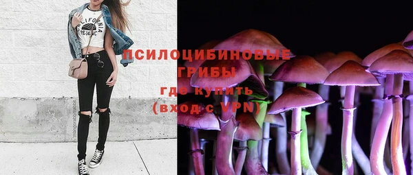 гидра Вяземский
