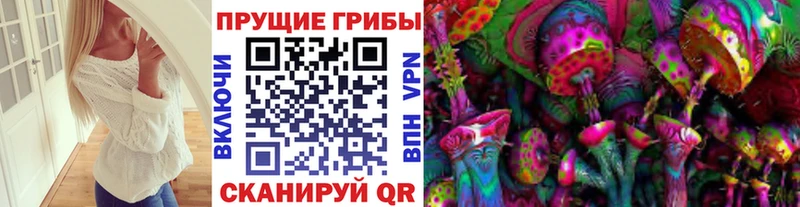 Псилоцибиновые грибы мухоморы  Купить  Курильск 